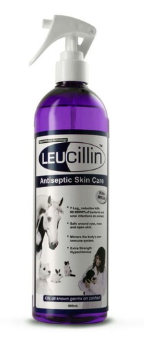 leucillin spray for dogs ears