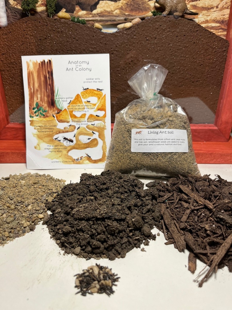 Ant Farm Benefits