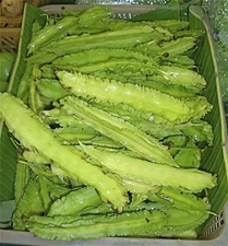 Psophocarpus Tetragonolobus 5 Seeds Vegetable Winged Bean Nitrogen Fixing Fodder