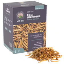 Worm Nerd Dried Mealworms High Protein and Fiber Treat for Chickens, Birds, Rept