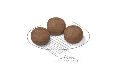 Royal Canin Shn Medium Puppy - Alimento seco para cachorros - 15Kg - Imagen 2 de 2