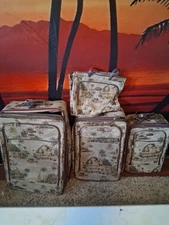 Ricardo of Beverly Hills 4 Piece Luggage Set