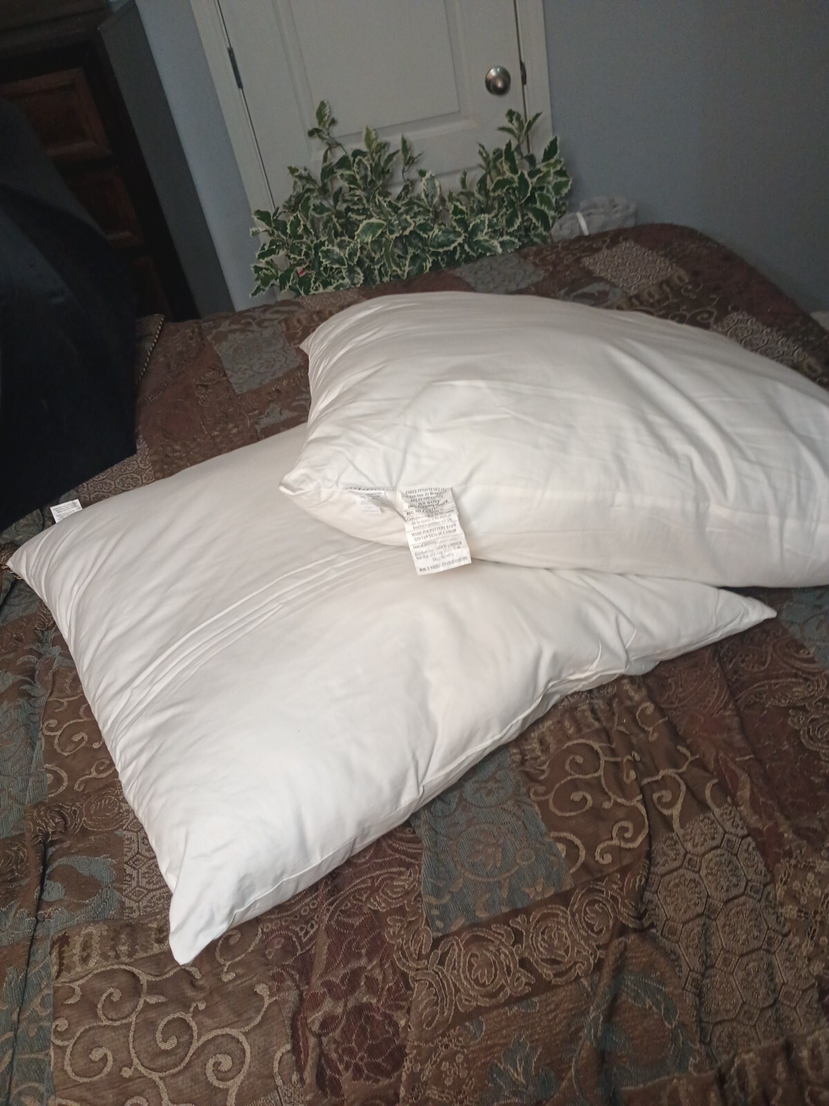 Pottery Barn Down Alternative 2 Pillow Insert Square 26x26" White