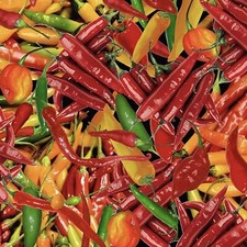 Southwest Hot Peppers Packed Multicolor 100 Cotton Fabric by The Yard