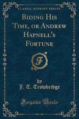 Biding His Time, or Andrew Hapnell's Fortune Class