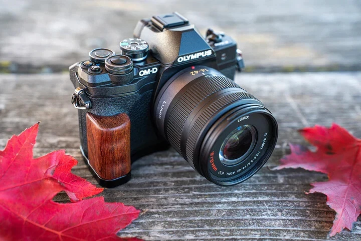 Fotodiox DLX Metallgriff für Olympus OM-D E-M10 Mk IV Kamera mit Batteriezugang - Bild 3 von 4