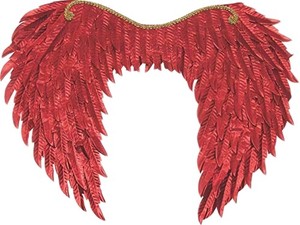 red costume wings
