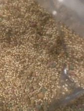 Universal Bird Blend for Medium  Large Birds - 10 lb Nutrient-Rich Food