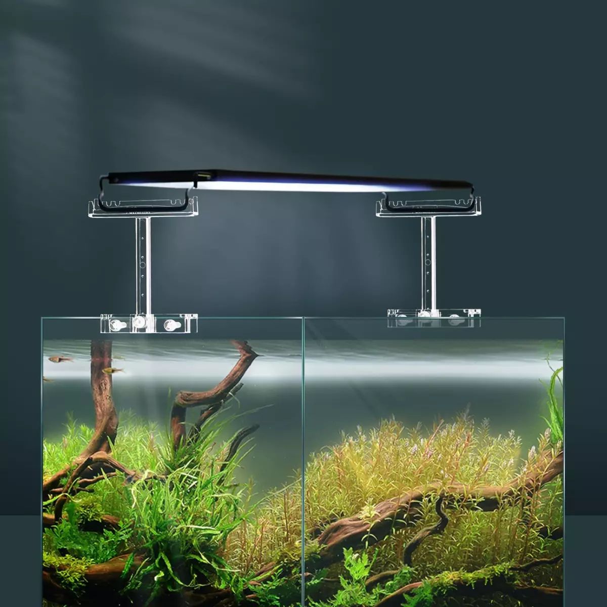 Aquarium light store stand