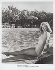 HOLLYWOOD BOMBSHELL MARILYN MONROE BATHING SUIT CHEESECAKE 1960s ORIG PHOTO J 19