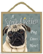 A Spoiled Rotten Pug fawn Lives Here 5" x 5" Wood Sign Hanging Rope and Easel
