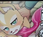 Star Fox Doujinshi Fox main (A5 68pages) karakuri