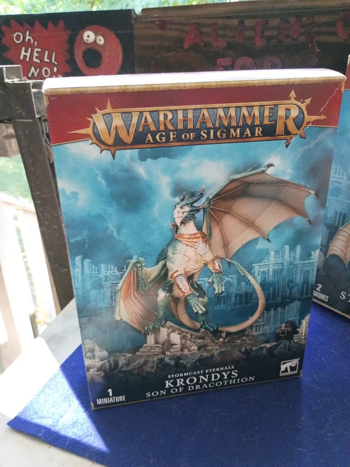 The Dragon Rider Bundle age of sigmar | eBay