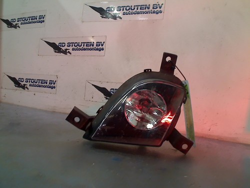 NEBELSCHEINWERFER RECHTS VORNE BMW 3 serie Touring (E91) 2012 17003702