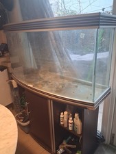 Aquience Bow Front 1200 Fish Tank Aquarium Plus Cabinet and Accessories Used