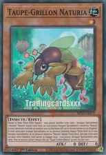 Yu-Gi-Oh! Taupe-Grillon Naturia : SR MP23-FR170