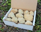 Break Your Own Geodes Gift Box (8 - 12 pcs) Large Unopened Moroccan Crystals