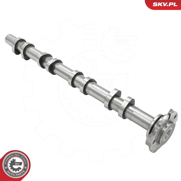 Esen SKV Nockenwelle 80SKV068 FüR Ford Land Rover LTI-image
