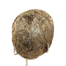 Colección Abijoux Biotite de la Montaña Freita, Arouca, Portugal