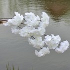 Bild 4 von 18