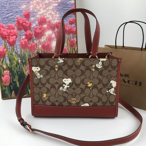 Borsa a tracolla Coach x Peanuts Dempsey Carryall Snoopy Woodstock CE862 nuova - Foto 2 di 14
