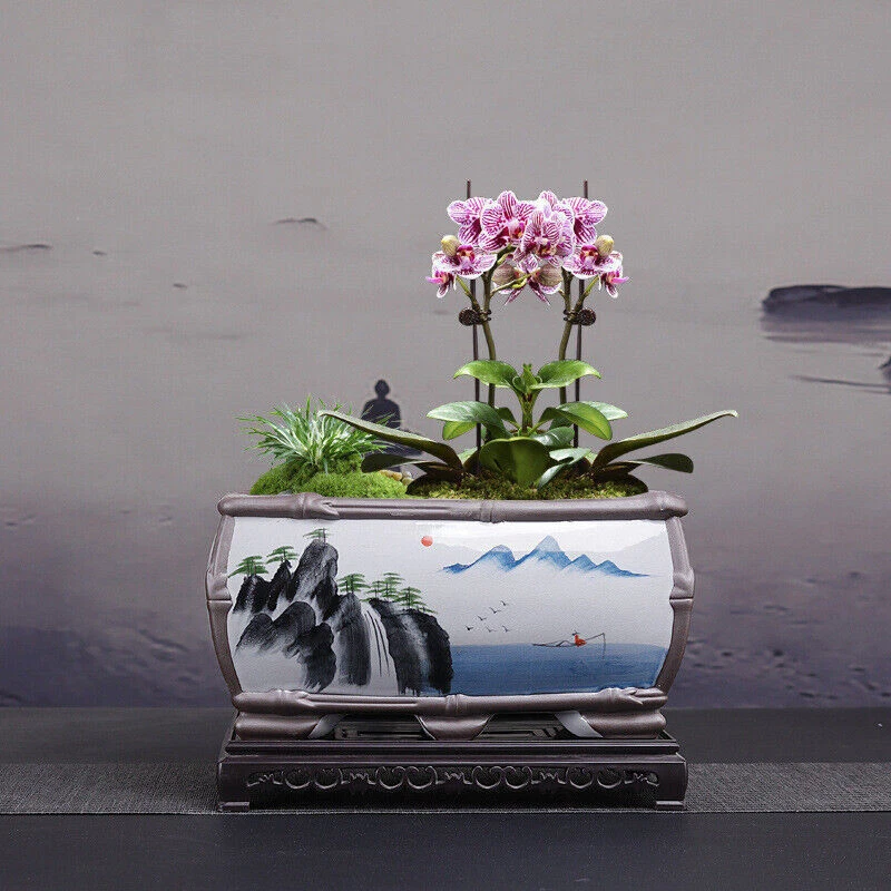 Maceta bonsai rectangular grande de alta gama con bandeja esmaltada arte chino maceta de cerámica Foto 3 de 4