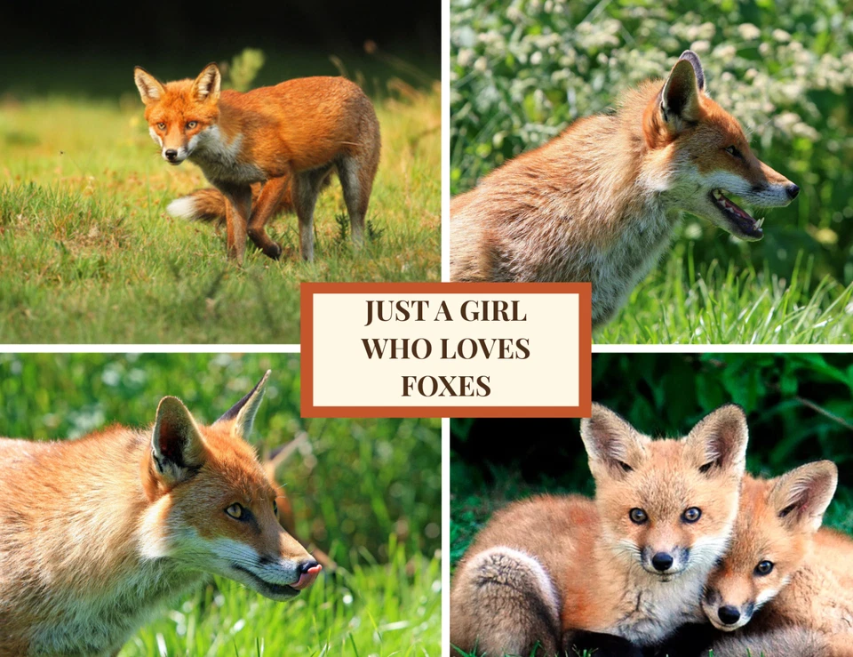 Large Fridge Magnet Just A Girl Who Loves Foxes Wildlife Animal Kitchen Decor