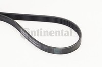 1X Continental Ctam 6PK1173 Keilrippenriemen FüR Toyota Bmw Honda Mini Dacia