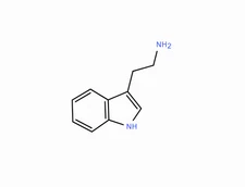 Tryptamine Base 99.0% (50g)