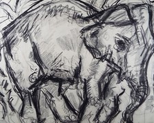 Original Conte Drawing -  'Elephant', Dated 1950, Henry Saunders (1918-1982)