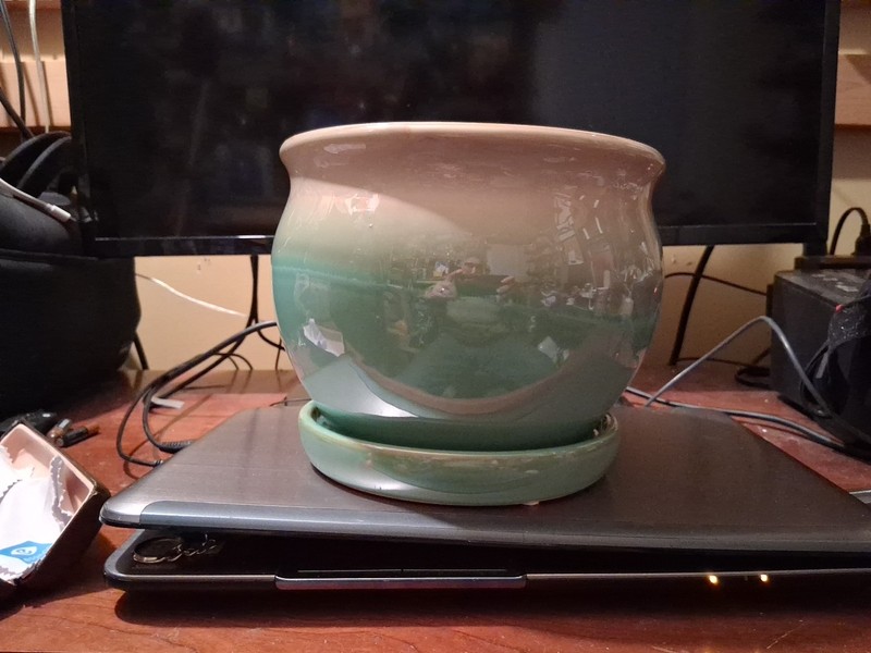 Archdale Planter With Attached Saucer Moss