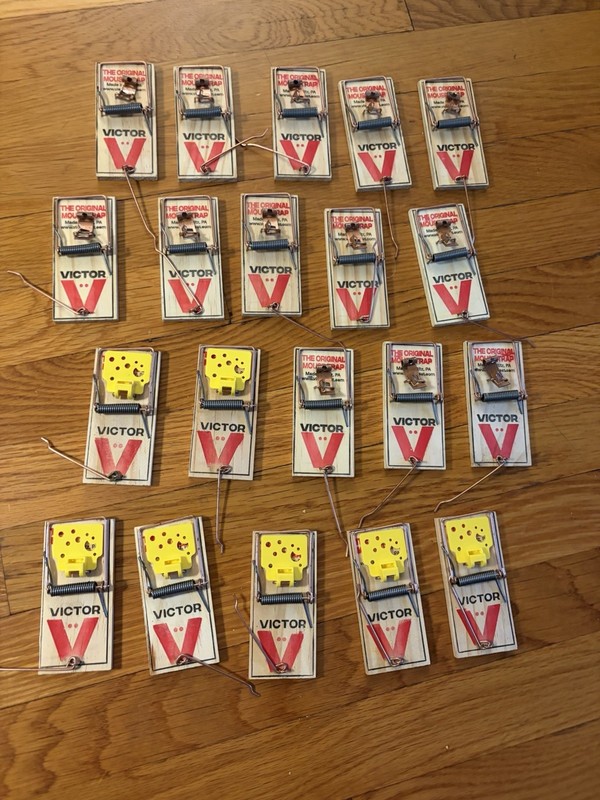 Victor Mouse Traps Sustainably Sourced FSC Wood- Set of 20