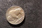 1925-D BU AU Detail Buffalo Nickel Monster Rhino Horn See Item Description NCX