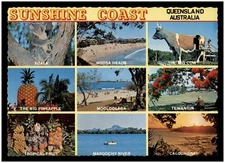 Postcard RPPC - Sunshine Coast, QLD