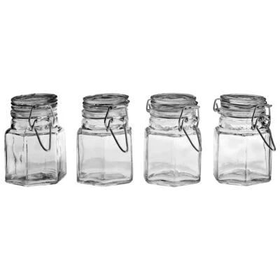 PREMIER HOUSEWARES Hayden 4-Piece Glass Spice Jars Set Clip Top Airtight Lids Condiment Storage