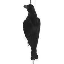 Realistic Hanging Dead Crow Lifesize Extra Black Feathered Crow J8Z54743