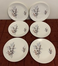 6 Vintage Ridgway Leafy Way Dinner Plates 10"