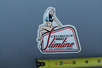 SANTA CRUZ Slimline Rails Cell Block Sexy 80's GB Vintage