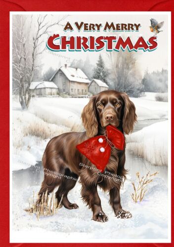 Carte de Noël Cocker Spaniel Brown Dog (4" x 6") - vierge à l'intérieur - par Starprint - Photo 1/1