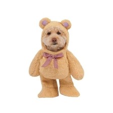 Walking Teddy Bear Pet Suit