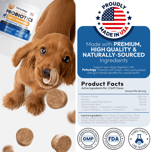 Probiotics for Dogs 170 Chews Dog Digestive Enzymes Prebiotics Support Gut - Picture 6 of 8