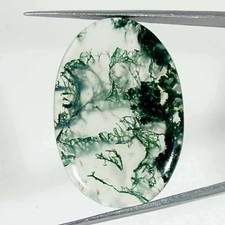 35.70Cts Natural Green Moss Agate Oval Cabochon Loose Gemstone 25x37x4mm