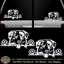 Australian Shepherd Two White Decals Car Windows Laptop Tumbler Tablet
