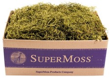 SuperMoss Preserved Spanish Moss, 3 lbs, Basil - Crafts, Decor, Floral