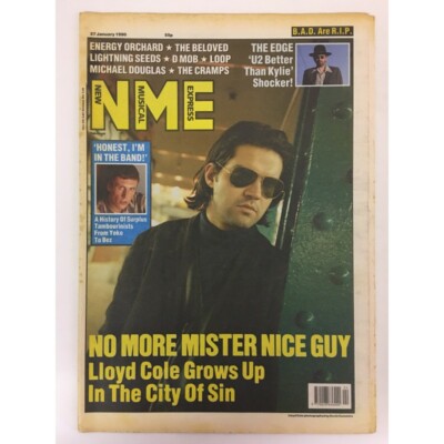NEW MUSICAL EXPRESS NME MAGAZINE 31 MARCH 1990 npbox0063 LLOYD COLE  LS
