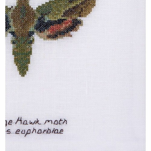 Kit A Punto Croce Papillon Euphorbe 565 Thea Gouverneur - Picture 7 of 7