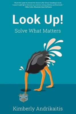 Look Up!: Solve What Matters by Kimberly Andrikaitis Paperback Book