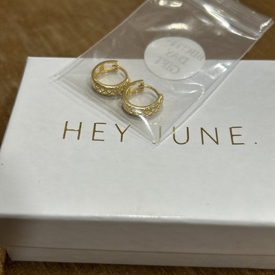 New In Box Hey June Small Gold Toned Pierced Hoops Cross Hatch Texture