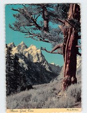 Postcard Grand Teton Grand Teton National Park Jackson Hole Wyoming USA