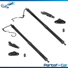 Electric Tailgate Hatch Strut Support Set Of 2 Fit For Highlander 2014-2018 2019